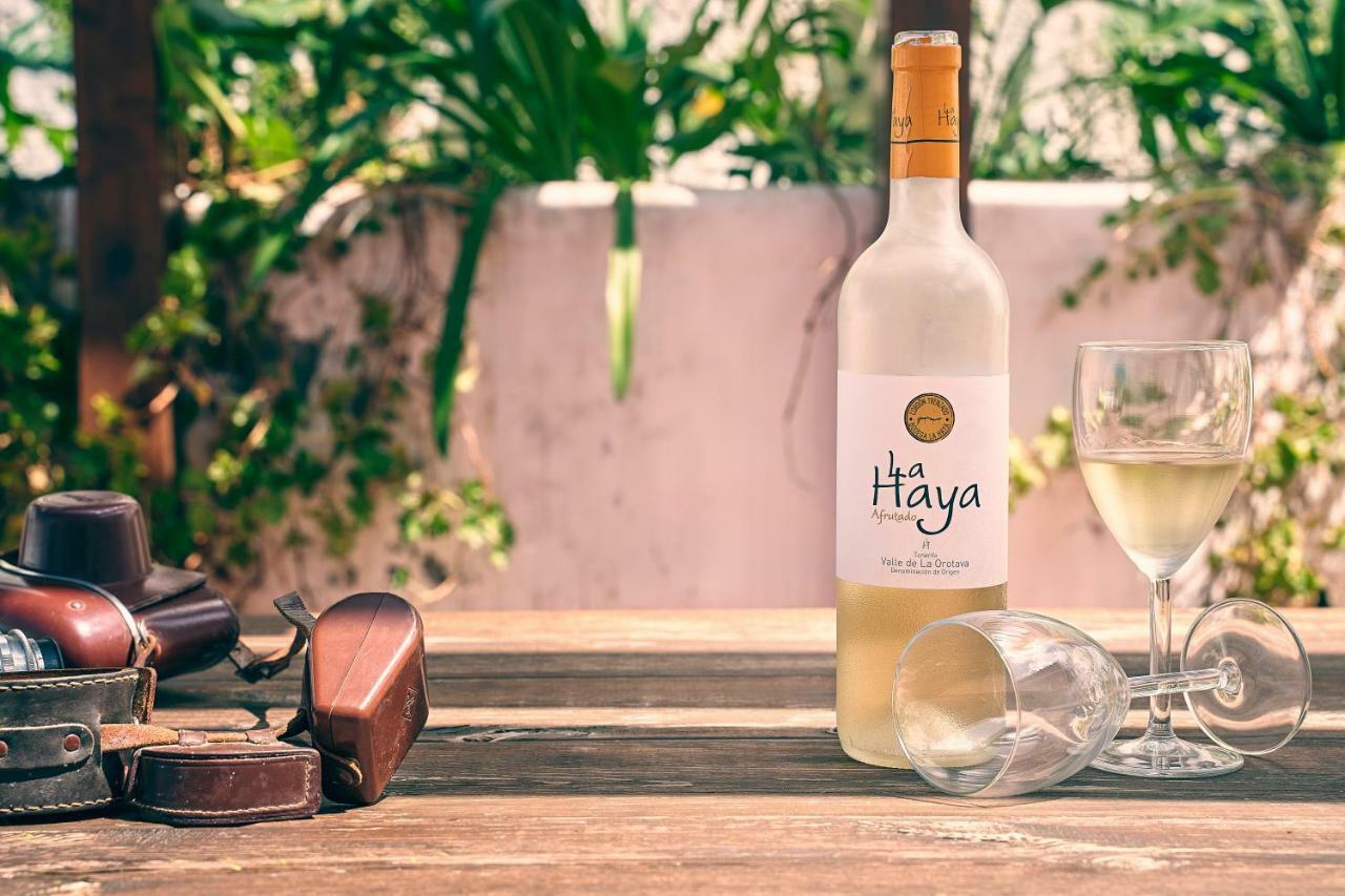 Superior G: Private Pool & Concierge Leilighet Icod De Los Vinos Eksteriør bilde